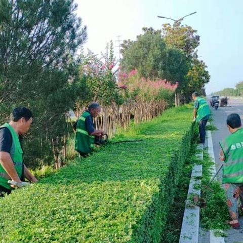 鹿邑县城市绿地建设中心： 以学促干推动学习成果向实效转化