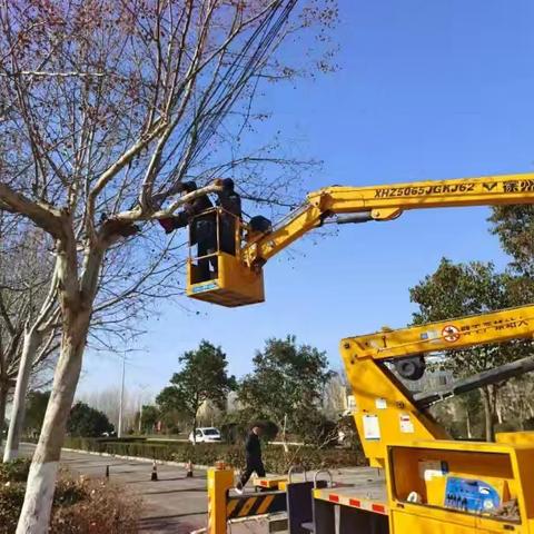 鹿邑县城市绿地建设中心 加强春季绿化养护巡查保洁