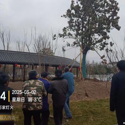 鹿邑县城市绿地建设中心 顶风冒雨 抢险护绿保平安