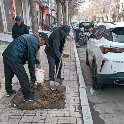 补绿、除虫、修剪，城市绿地建设中心持续加强春季绿植管养