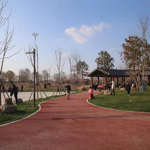 鹿邑：打造“城市会客厅” 共绘生态绿美画卷