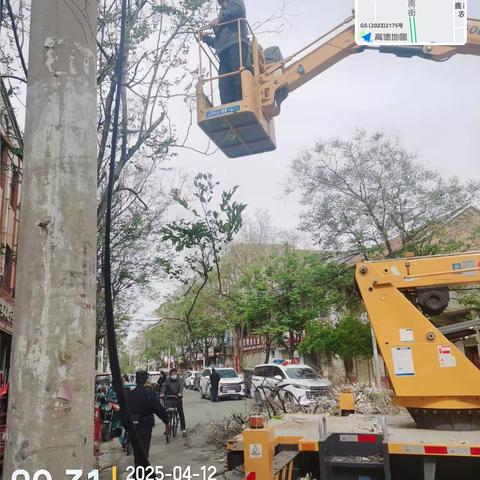 鹿邑县城市绿地建设中心： 大风刮断树木，风里清理扶正