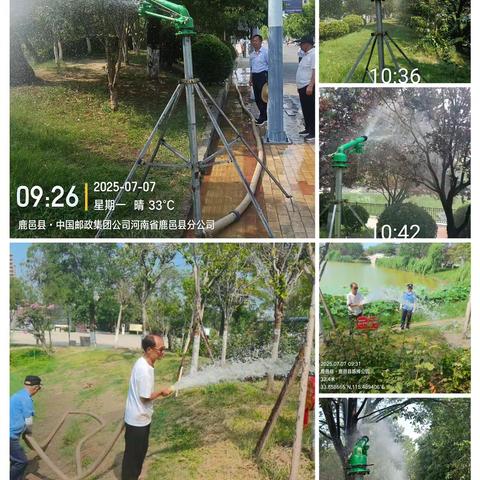 鹿邑县城市绿地建设中心 炎热酷暑护绿荫保亮化