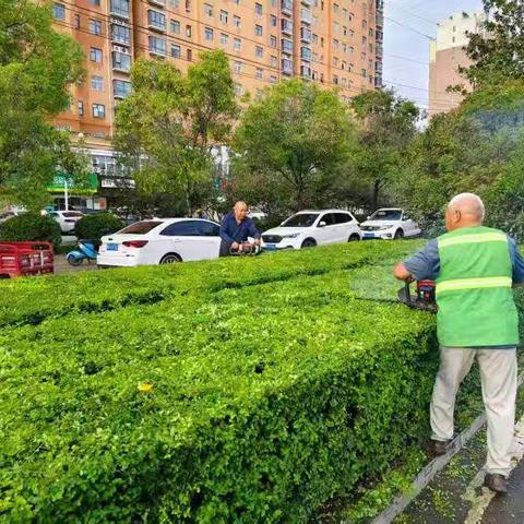 养护秋季绿化 巡护汛期安全 城市绿地中心提升市民幸福感