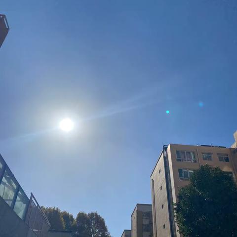 贝尔安亲五年级周总结