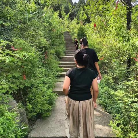 夏之四重奏：在季节的褶皱里寻觅生命的丰盈