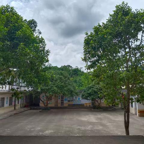 清水口镇陈地小学附设幼儿园2026年招生开始啦