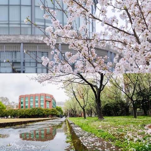 不觉华师春满枝 研修意浓“政”当时——湖南湘江新区中学思政教研管理团队引领能力提升高级研修班第五天记