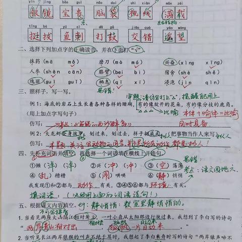 阳光下的繁星的简篇