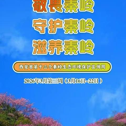 守护秦岭精灵 拒绝非法买卖 — 让鸟儿自由翱翔在秦岭之巅