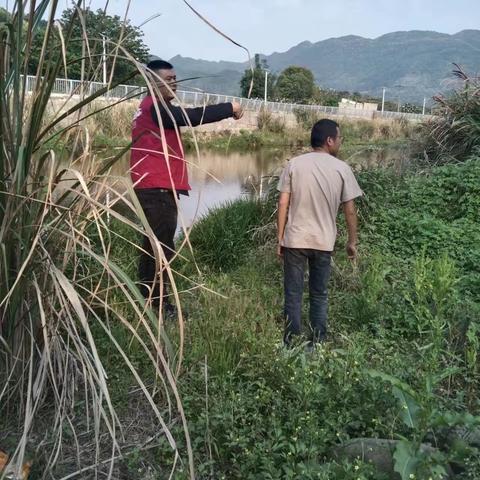 一都镇一都村开展河道巡查活动