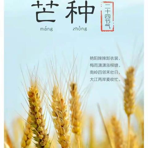 当芒种🌾🌾“遇”上爱眼日——江门市江海区滘北幼儿园大三班芒种主题活动