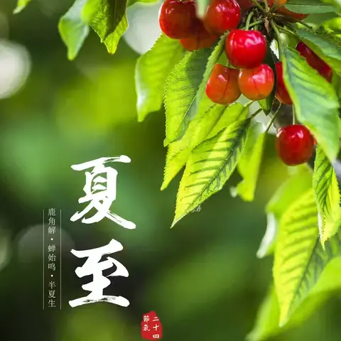 夏至到，盛夏始