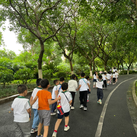 🌴留“夏”回忆，与你童乐🦚