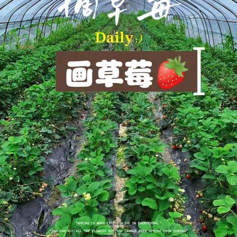 走，采会“飞”的草莓🍓去～