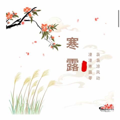 【二十四节气】“秋寒露重，且听秋吟”——高厦言小学附属中心幼儿园二十四节气之寒露