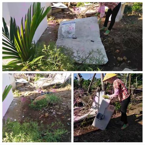 演丰镇7月4日至7月11日开展人居环境整治工作