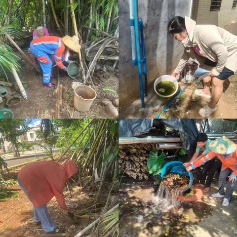 演丰镇结合基孔肯雅热输入疫情防控开展人居环境整治工作