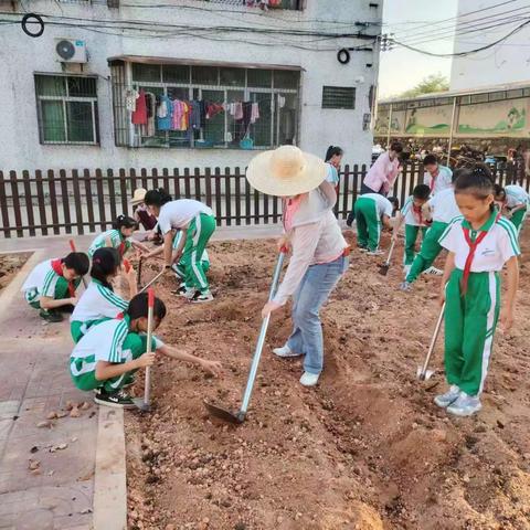 屯昌县向阳中心小学2024年春季学期三年级劳技课3.27