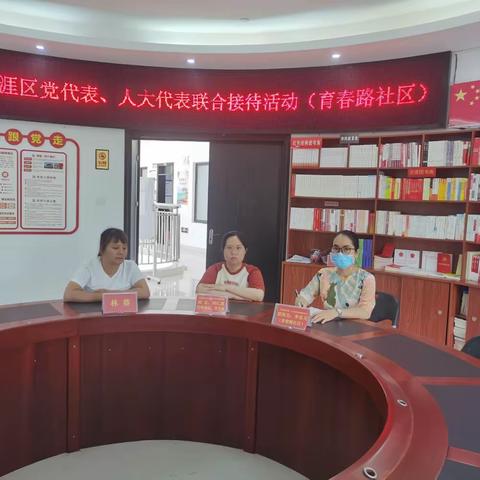 育春路社区开展天涯区党代表、人大代表联合接待活动