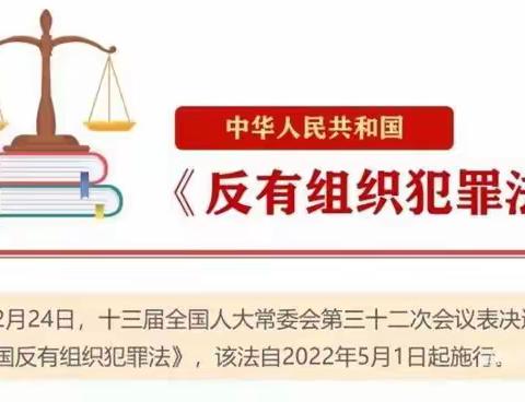 【关爱学生，幸福成长——武安在行动】 上团城镇下团城学校开展《反有组织犯罪法》宣传教育活动纪实