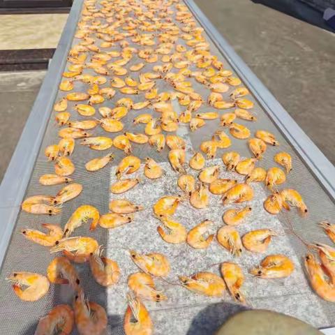 虾的美味之旅：从新鲜到餐桌