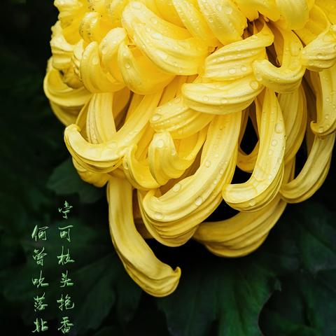 闲聊景航 （续）
