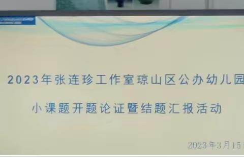 2023年张连珍工作室琼山公办幼儿园小课题开题论证暨结题汇报活动