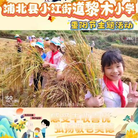 感受丰收喜悦 弘扬敬老美德