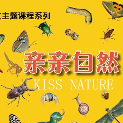 园本特色课程——主题探究式亲亲自然生态课程