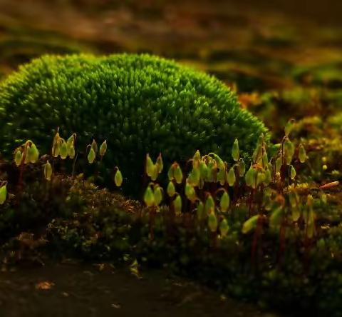 在校园里理性的生物学遇见畅意的美术……一场视觉盛宴拉开帷幕