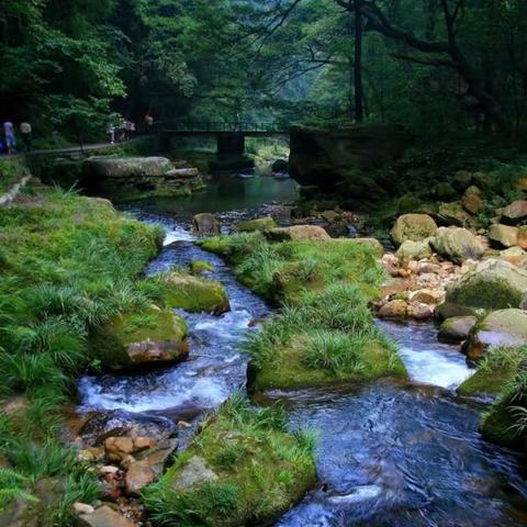 雨中金鞭溪