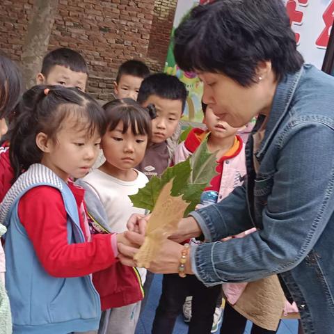 【五育并举】“拥抱自然、邂逅秋天”—-新华联校陈庄小学二年级秋游主题活动