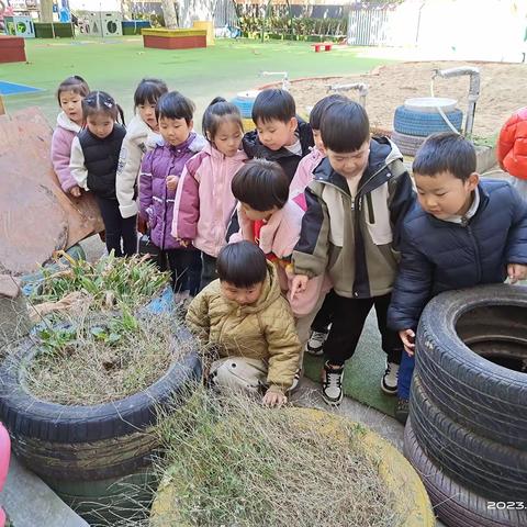 正确面对告状行为