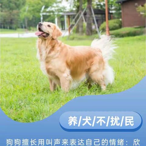 航投物业温馨提示l文明养犬，才是真的爱犬！