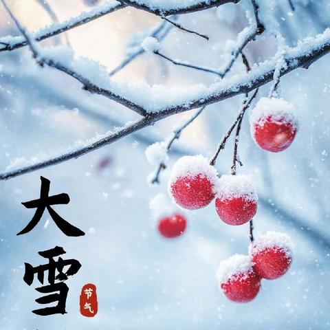 大雪已至，冬来无恙——大一班大雪节气教育活动
