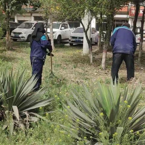 【西苑绿化服务中心】路域环境整治，园林人在行动