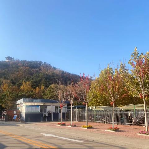 同向同行强交流，互学互鉴共发展——校际联研活动