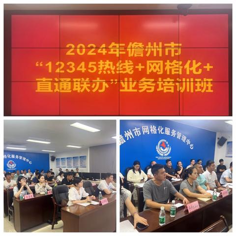 儋州市举办“12345热线+网格化+直通联办”业务培训班