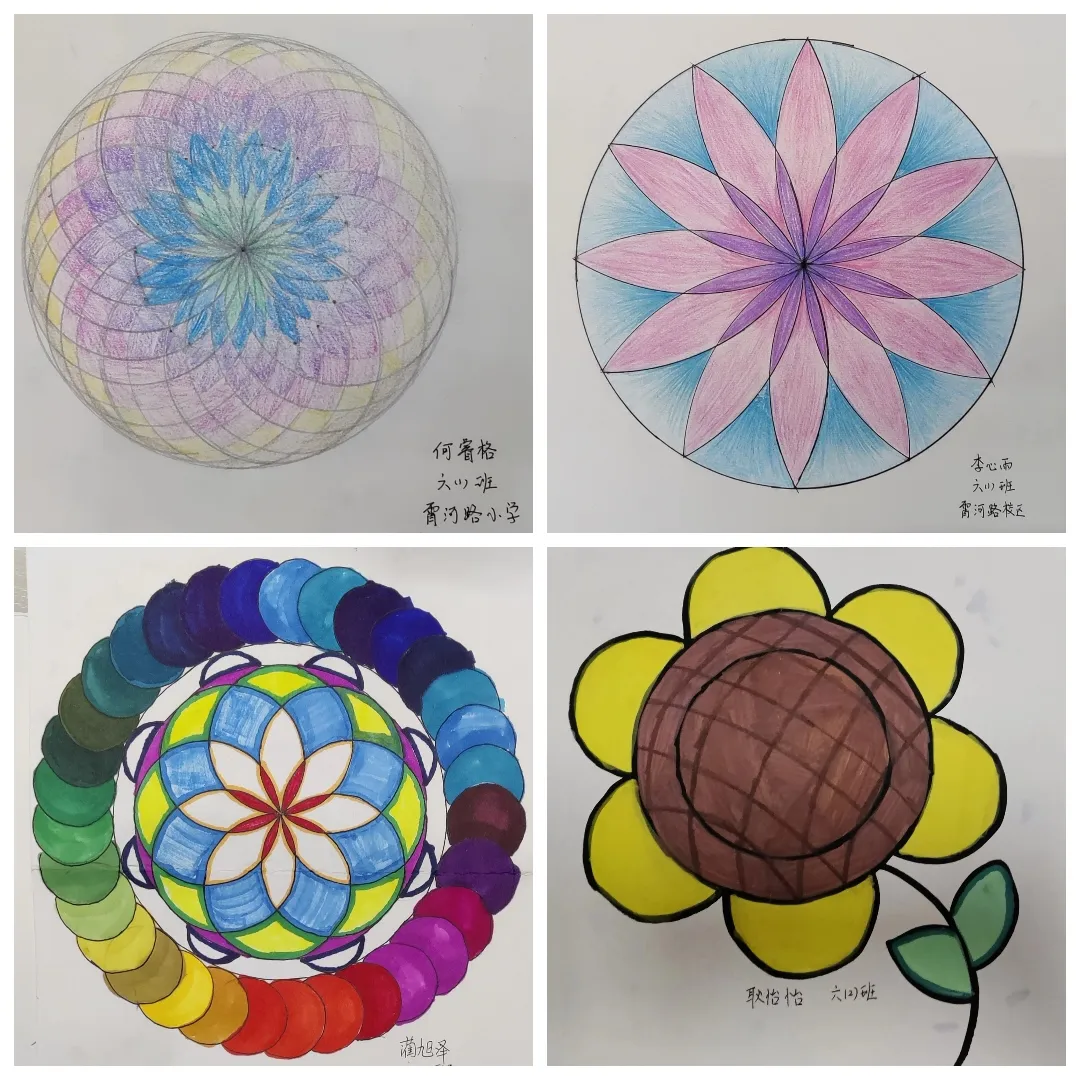 特色作业以圆绘美创意无限浚县长丰教育集团霄河路校区六年级数学特色