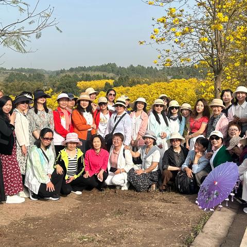 《老年大学摄影视频制作班采风纪实：黄花风铃木下的美好时光》