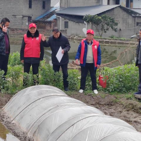 实地调研建真言献实策