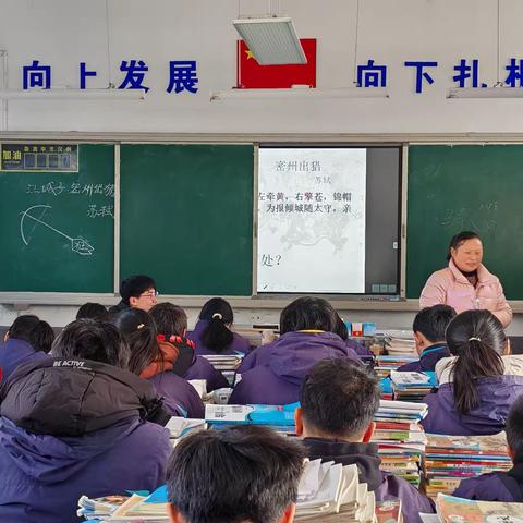 “视”以促教，“导”以致远 ——记吴集中学教学视导研讨活动