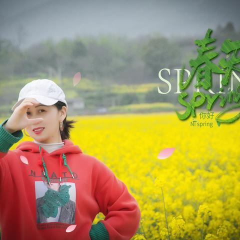 油菜花开百亩黄，蜂飞蝶恋觅芬芳