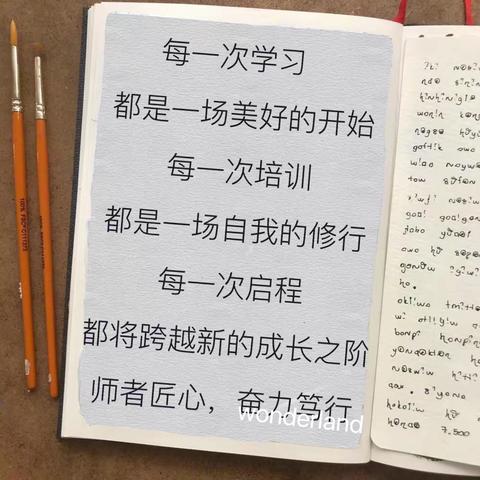 研讨交流促成长，学思并进促提升——记郯城县新村银杏开发区中心小学暑期专业提升研讨会