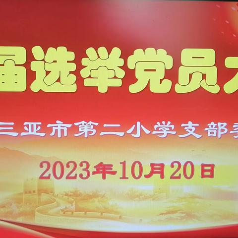 “凝心聚力担使命   同心致远普新篇 ”——三亚市第二小学党支部换届选举党员大会