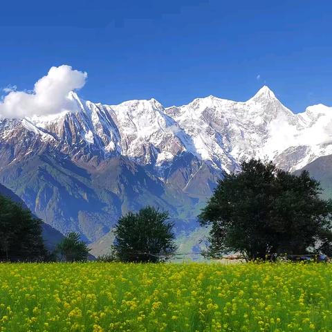 西藏·自由的风（一）