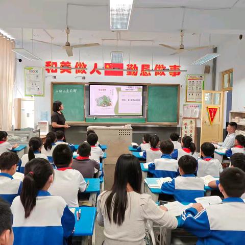 聚力“三单”巧设计，观察诊断促成长——临沂朱张桥小学“诊断教学”视域下社会化学习单的设计应用研讨活动