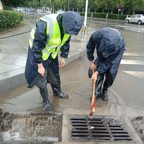 以雨情为令，市住建局吹响“汛期实战”集结号