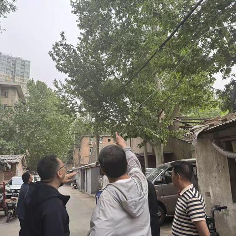 枝叶修剪解民忧 网格行动保平安